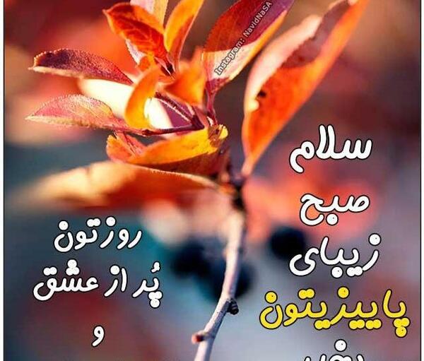 عکس صبح پاییزیتون بخیر