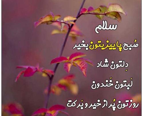 عکس صبح پاییزیتون بخیر