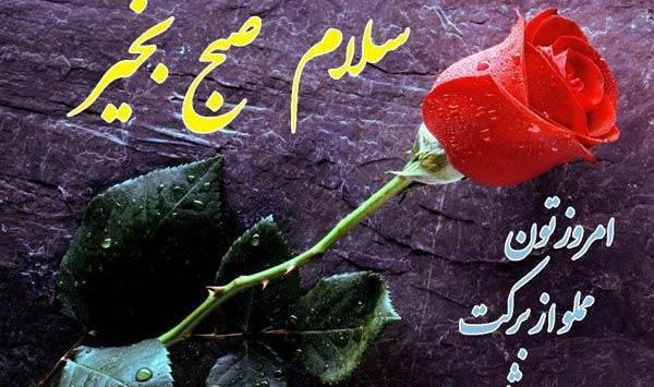 عکس صبح بخیر معلم عزیزم