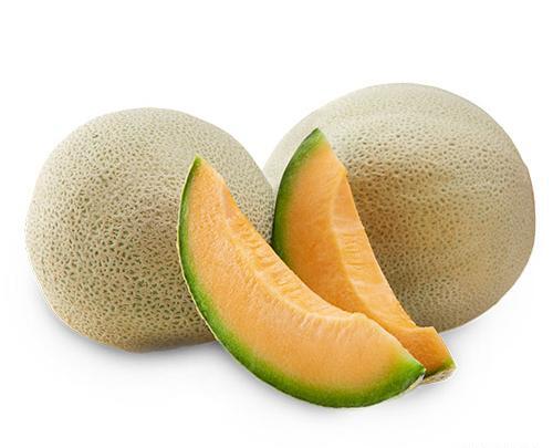 عکس طالبی