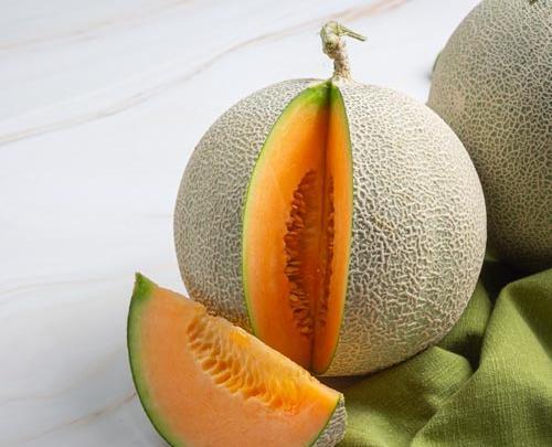 عکس طالبی