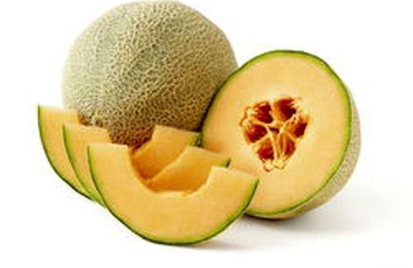 عکس طالبی