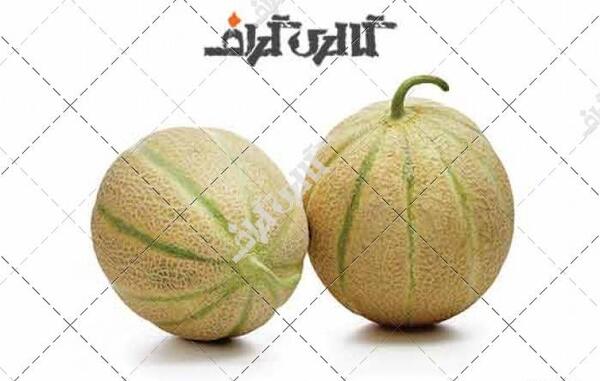 عکس طالبی