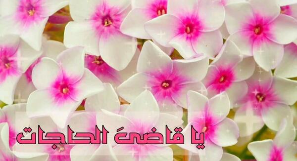 عکس ذکر روز چهارشنبه متحرک
