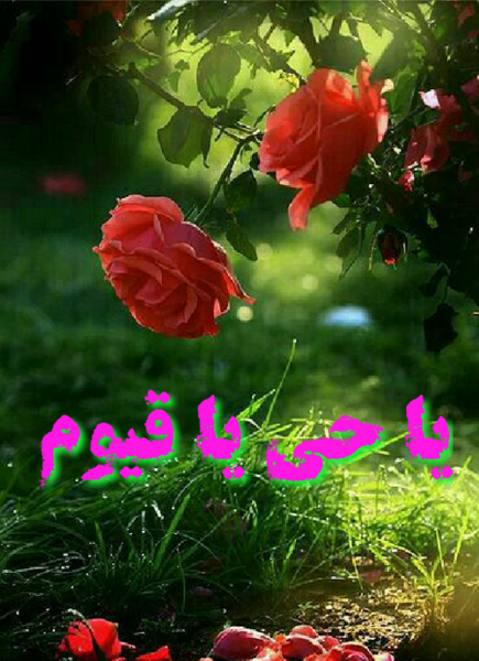 عکس ذکر روز چهارشنبه متحرک