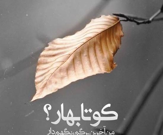 عکس پروفایل جدید معنوی