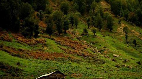 عکس جاهای دیدنی طارم سفلی