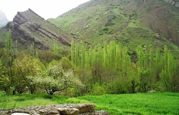 عکس جاهای دیدنی طارم سفلی