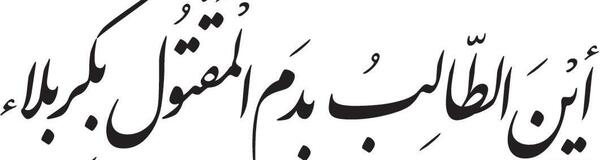 عکس این طالب بدم مقتول بکربلا