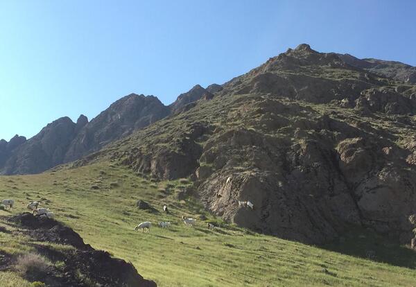عکس روستا جارو