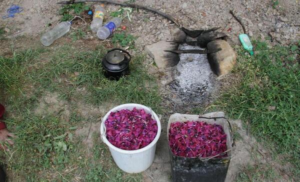 عکس روستا کوا