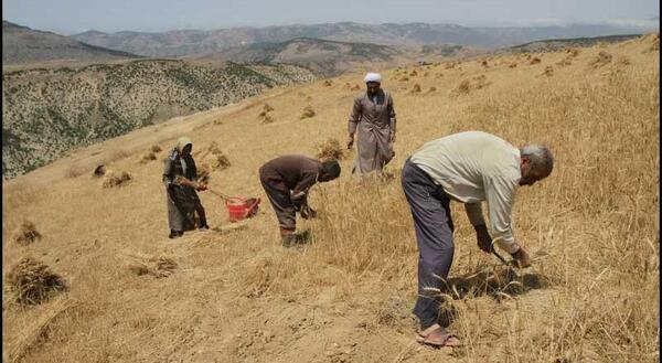 عکس روستا کوا
