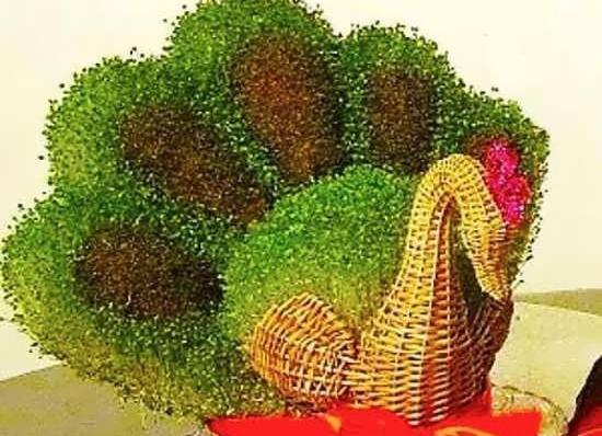 عکس سبزه عید خلاقانه
