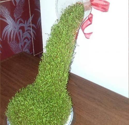 عکس سبزه عید خلاقانه