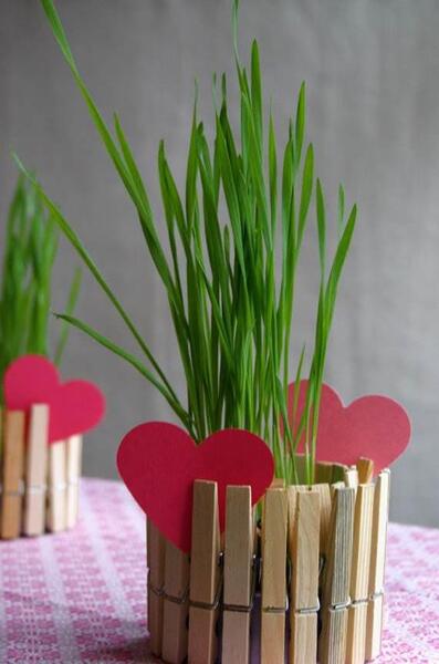 عکس سبزه عید خلاقانه