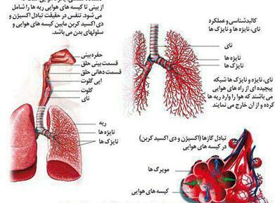 عکس تومور ریه
