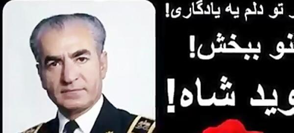 بهترین عکس شاه