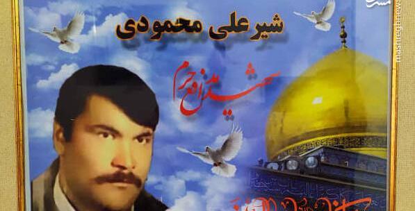 عکس شیرعلی
