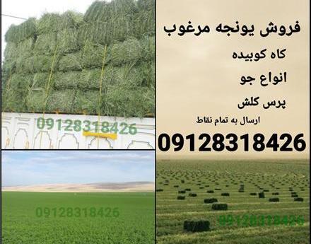 عکس یونجه پرس شده
