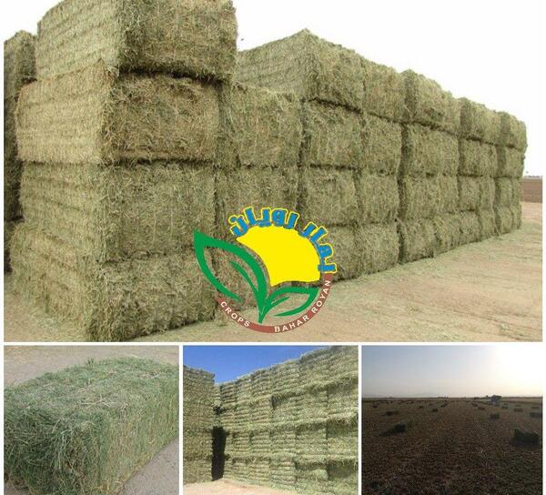 عکس یونجه پرس شده