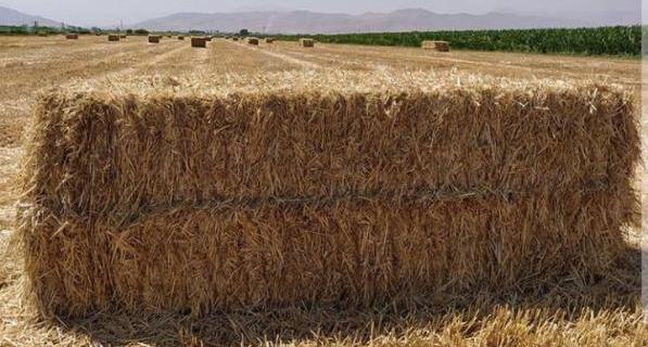 عکس یونجه پرس شده