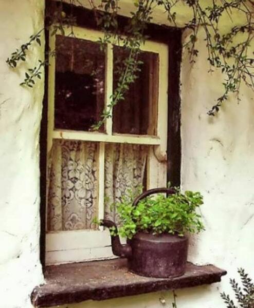 عکس قدیمی طبیعت