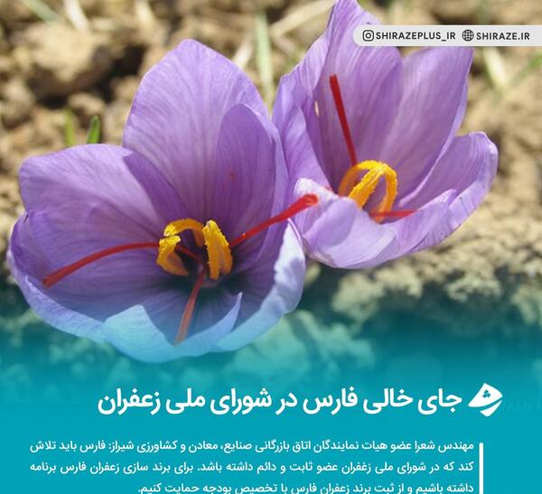 عکس جای زعفران