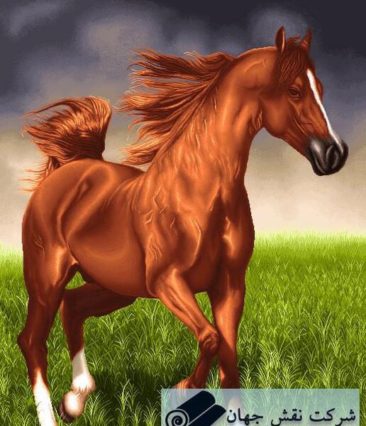 عکس اسب قهوه ای