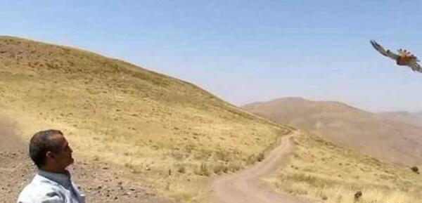 عکس روستای زرشک قزوین