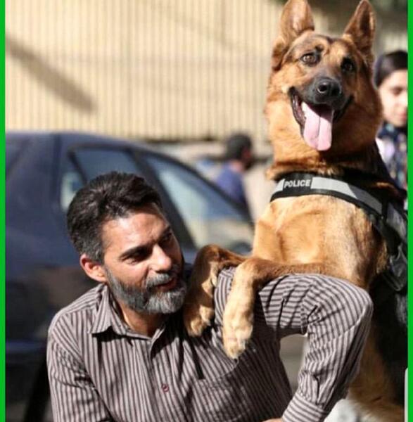 عکس سگ ژرمن شپرد پلیس ایرانی