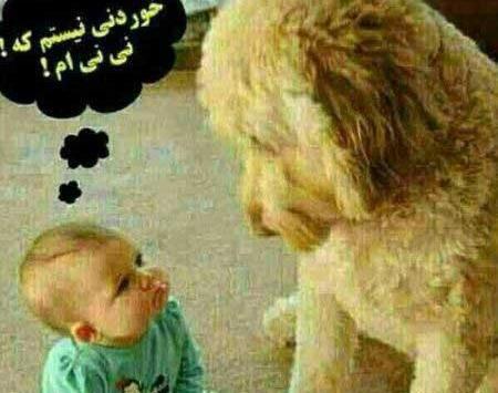 عکس ژله های خنده دار