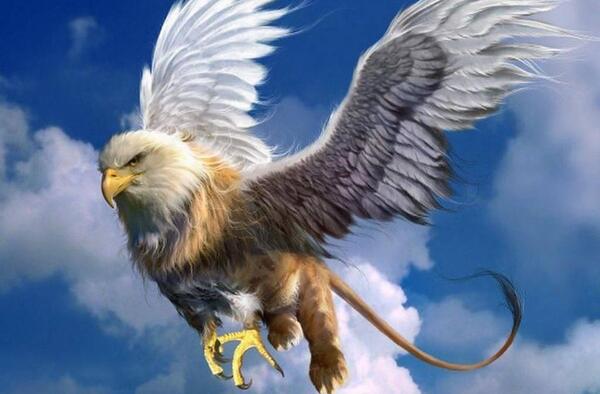 عکس سه بعدی عقاب