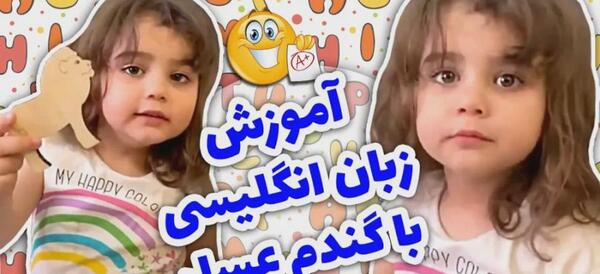 عکس گندم جون