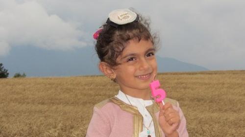 عکس گندم جون