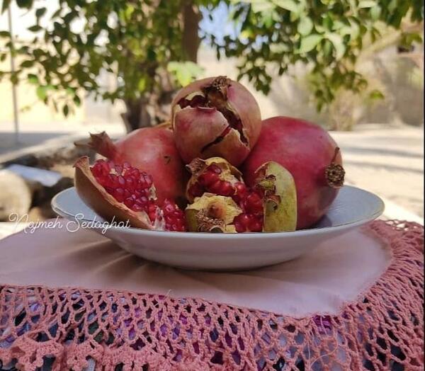 عکس یلدا صداقت