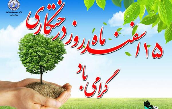 عکس ریه های زمین