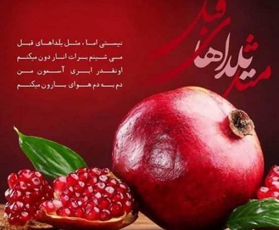 عکس یلدا امکانیان