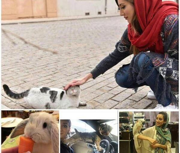 عکس سگ صدف بیوتی