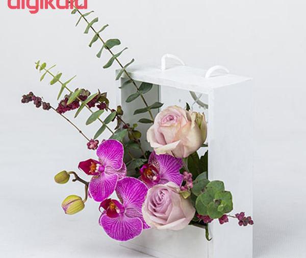 عکس گل ساینا