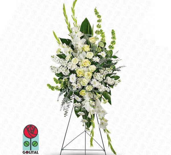 عکس گل ساینا