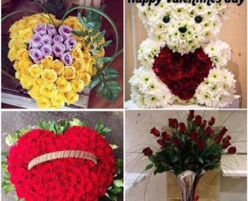 عکس گل ساینا