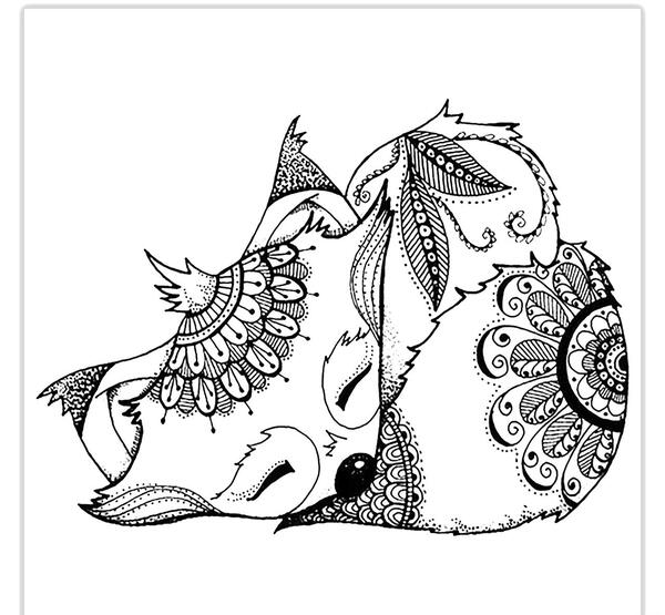 عکس روباه برای رنگ آمیزی