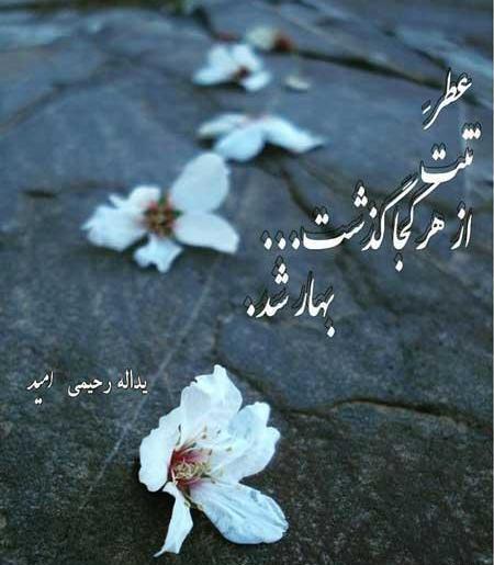 عکس پروفایل واتساپ بهاری