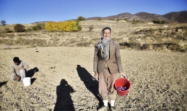 عکس روستای زعفران