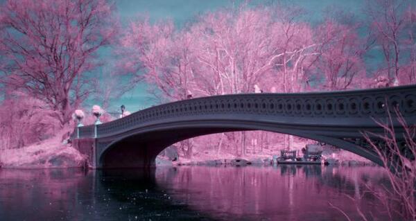عکس طبیعت آمریکا زیبا