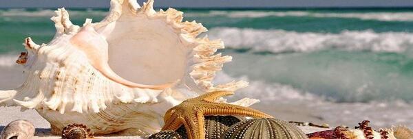 عکس جاهای دیدنی قشم