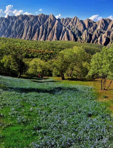 عکس مهراب کوه دلفان
