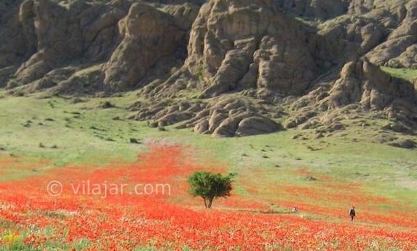 عکس مهراب کوه دلفان