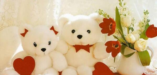 عکس های احساسی و زیبای عاشقانه خرس عروسکی