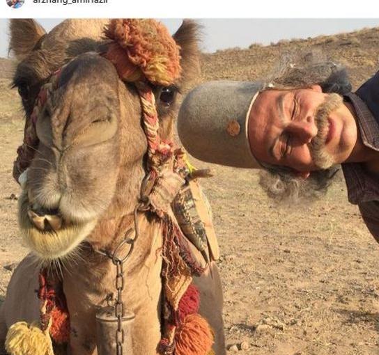 عکس شتر عجیب
